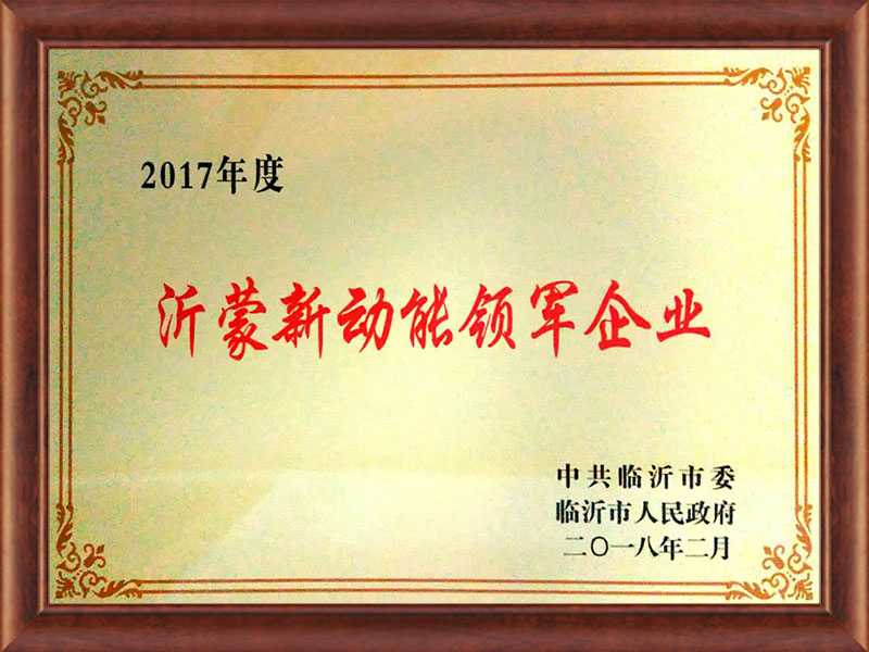 沂蒙新動能領軍企業